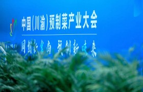 满足、获得、发展，中国（川渝）预制菜产业大会高光时刻回顾